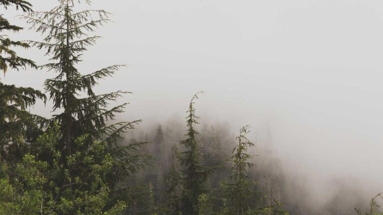 Can I Enable Two-Factor Authentication For 11Xplay App Login?