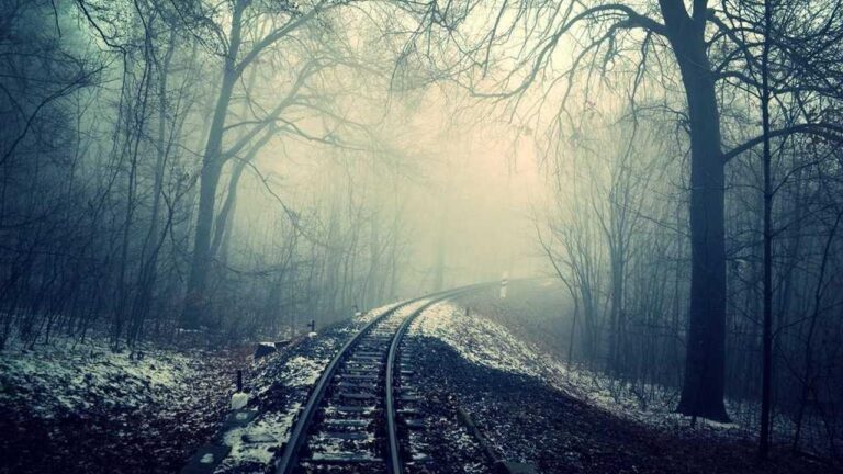 How To Reset 99Exch Com Id Password?